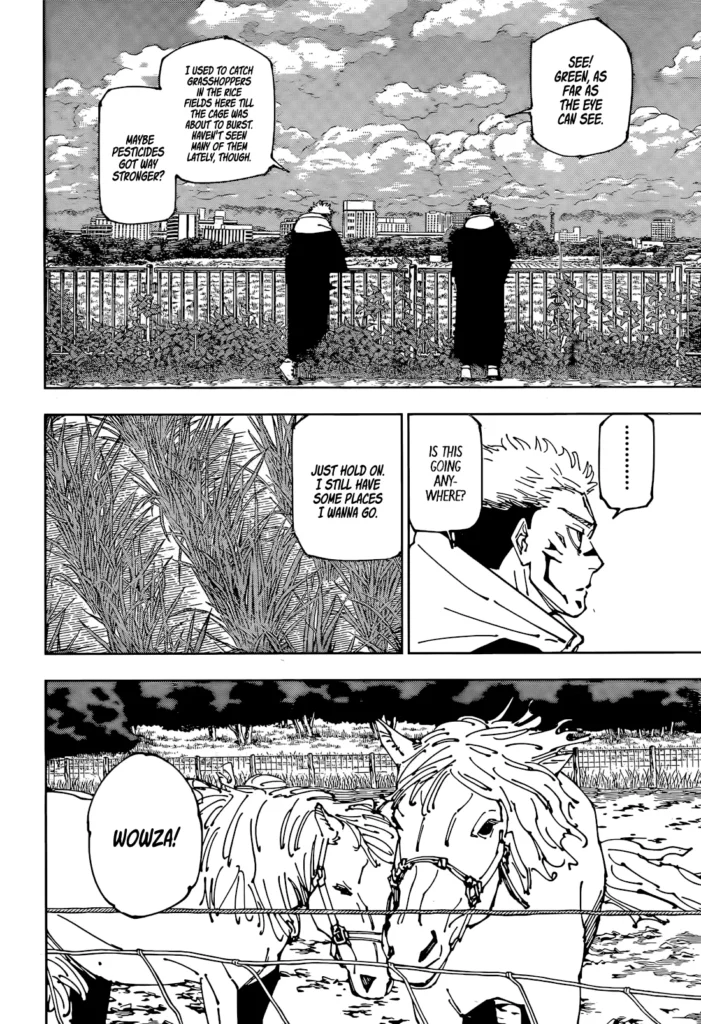 Jujutsu Kaisen Chapter 265