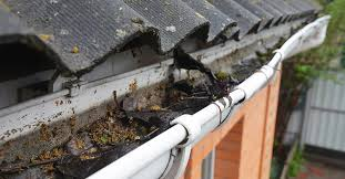 6 Costly Problems Linked to Damaged Gutters in North Carolina